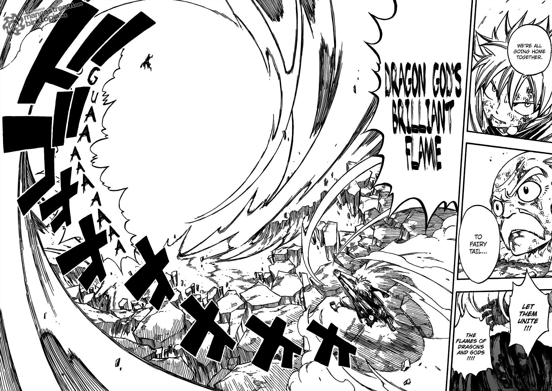 Fairy Tail Chapter 219 19